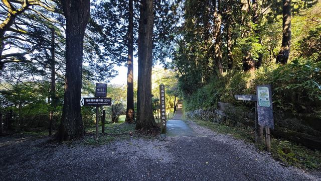 清晨,當我走在蘆之湖邊,恍惚走進了仙境一般 清晨,當我走在蘆之湖邊,恍惚走進了仙境一般