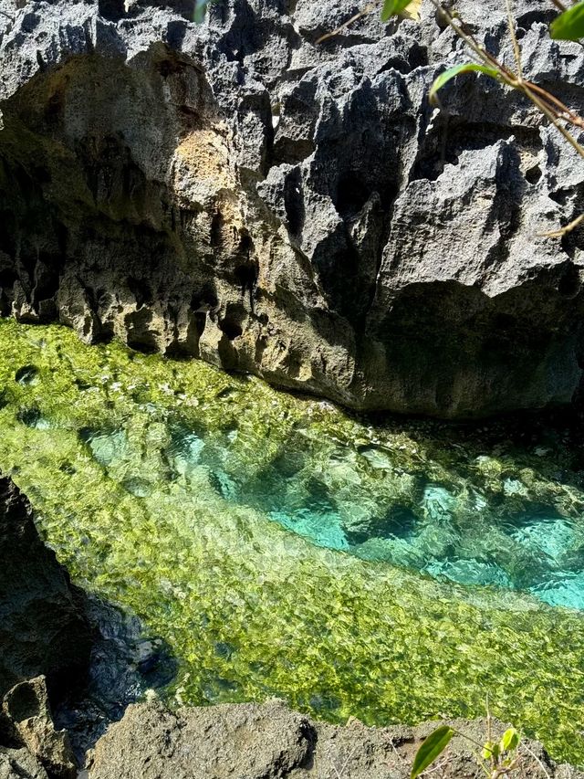 精靈墜崖｜蘋果壁紙取景地