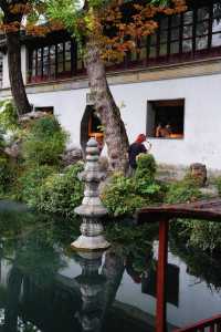 江南秋色藏留園讓人忍不住愛了又愛!