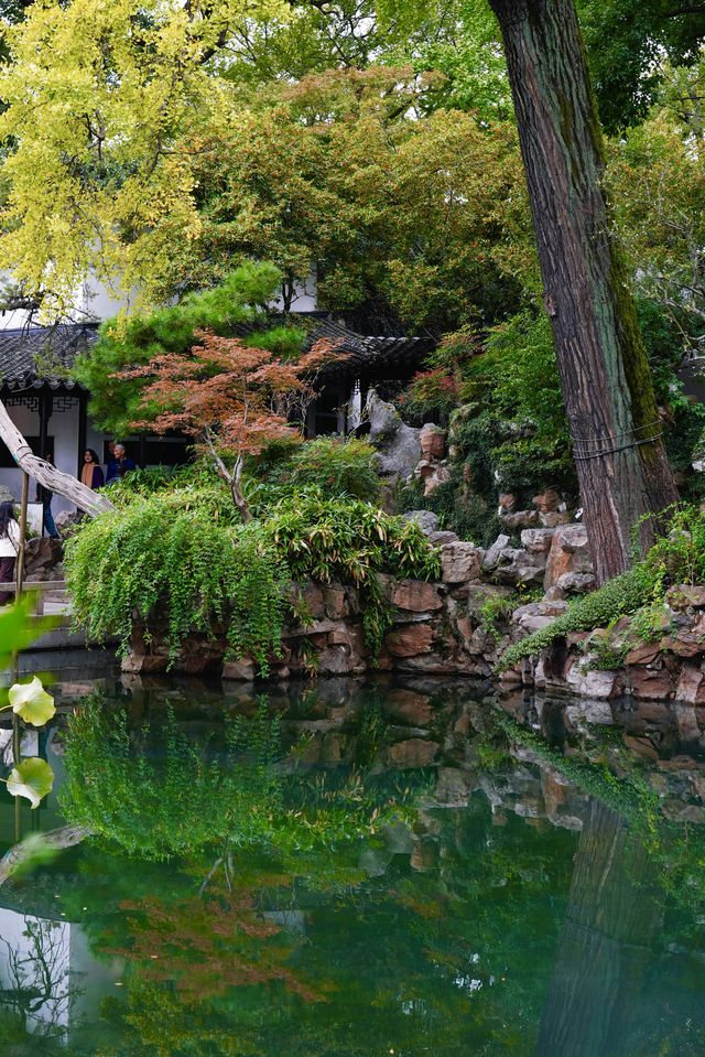 江南秋色藏留園讓人忍不住愛了又愛! 江南秋色藏留園讓人忍不住愛了又愛!