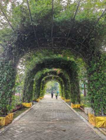 花海長廊已開啟賞花模式