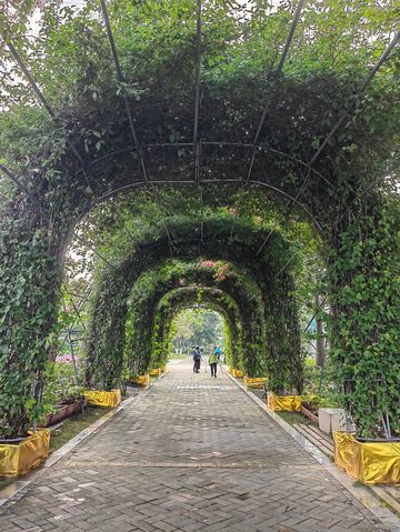 花海長廊已開啟賞花模式