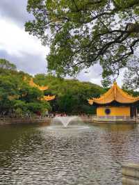 暴走2萬步的普陀山攻略！幫你避掉90%坑