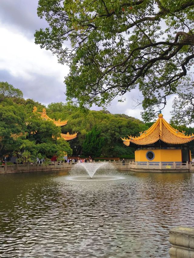 暴走2萬步的普陀山攻略！幫你避掉90%坑