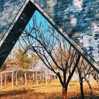 孔子故里0元暴走攻略