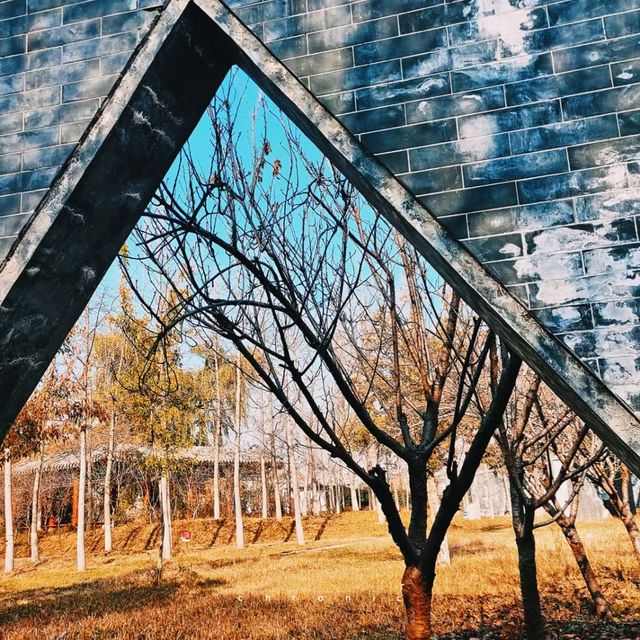 孔子故里0元暴走攻略