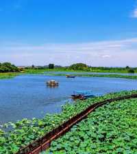 帶娃遊鄂州不踩雷