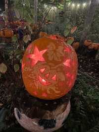 Enchanting Community Haven in Hackney