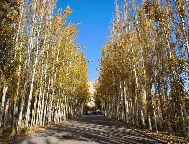 克孜爾千佛洞,遙遠的龜茲古國故事 克孜爾千佛洞,遙遠的龜茲古國故事