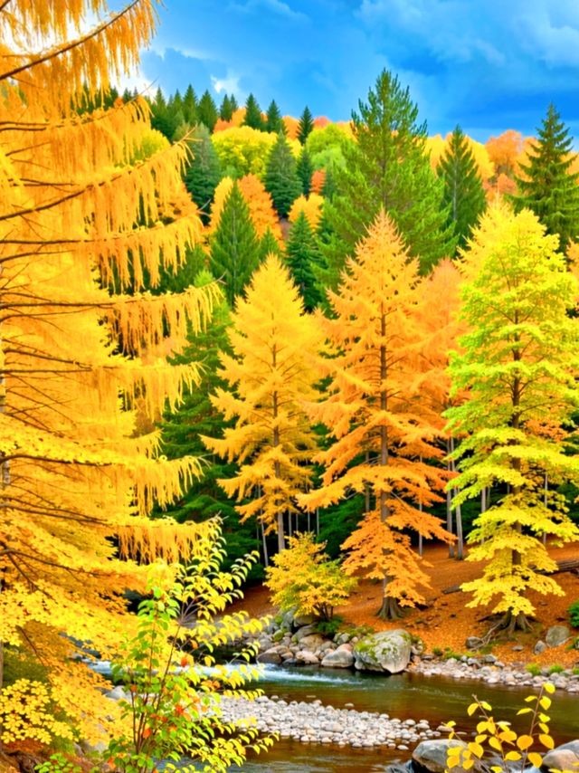 甘肅私藏！天水才是絲路真寶藏，彩林+千年人文美到失語