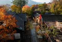 11/13實況|唐山這座城,比想像中更有質感