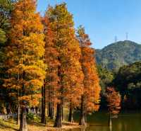 乘上復古小火車，闖入南國油畫世界！