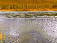 《秋日限定!阿爾山森林公園3天打卡秘笈》