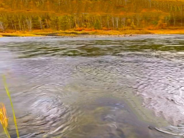 《秋日限定!阿爾山森林公園3天打卡秘笈》 《秋日限定!阿爾山森林公園3天打卡秘笈》