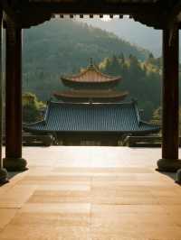 安吉隱山寂｜帶娃住山野民宿，綠色治癒超開心