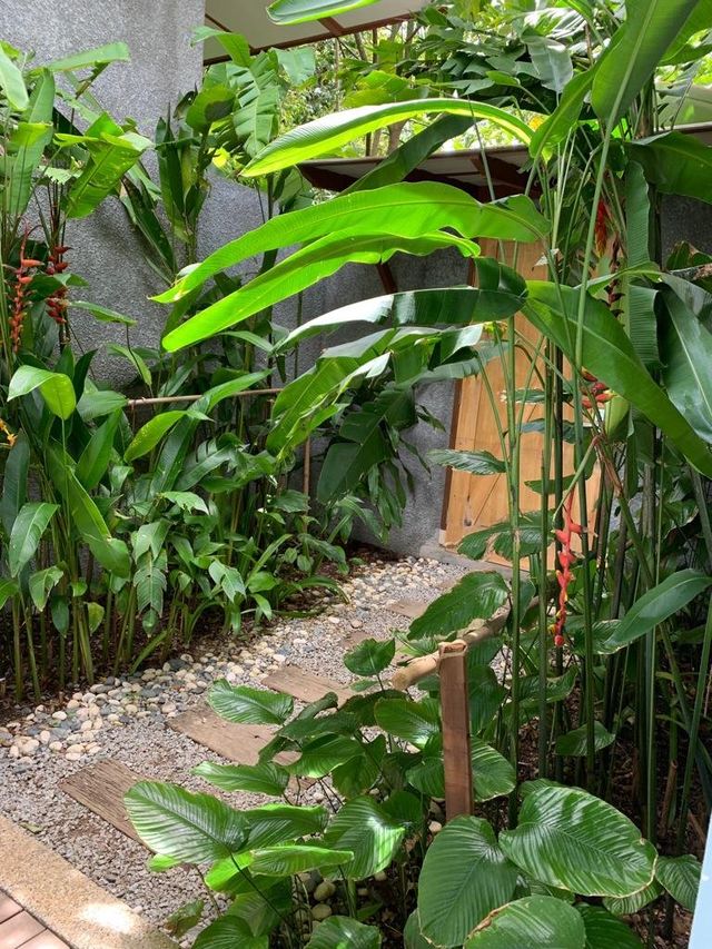 山海之間的奇妙泳池體驗 ： Ambong Pool Villas Langkawi