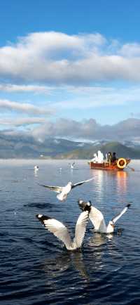 | 把山海星辰裝進房間的日與夜