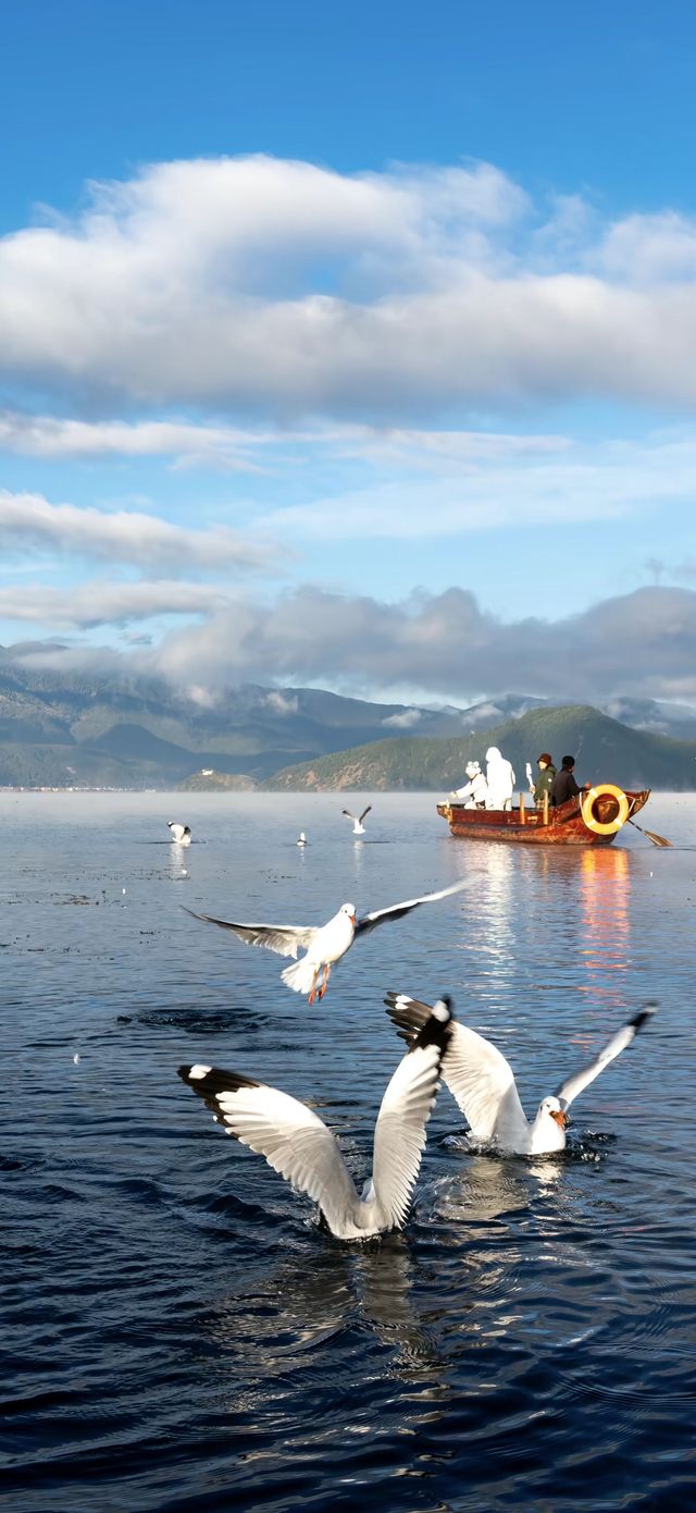 | 把山海星辰裝進房間的日與夜 | 把山海星辰裝進房間的日與夜