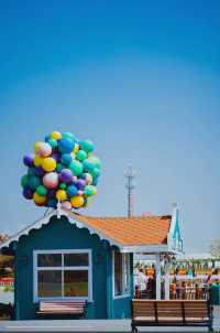 鹽城新秘境｜荷蘭花海：穿越歐式童話的浪漫風暴