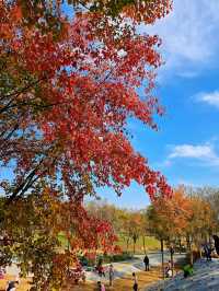 “塞納河”畔曬太陽