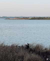 長沙本地人私藏寶藏地！松雅湖濕地公園美到窒息
