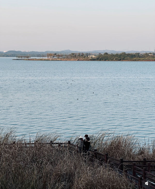 長沙本地人私藏寶藏地！松雅湖濕地公園美到窒息