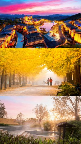 Self-driving trip to Shaoguan Nanxiong to enjoy ginkgo and hot springs with a budget of 300 per person