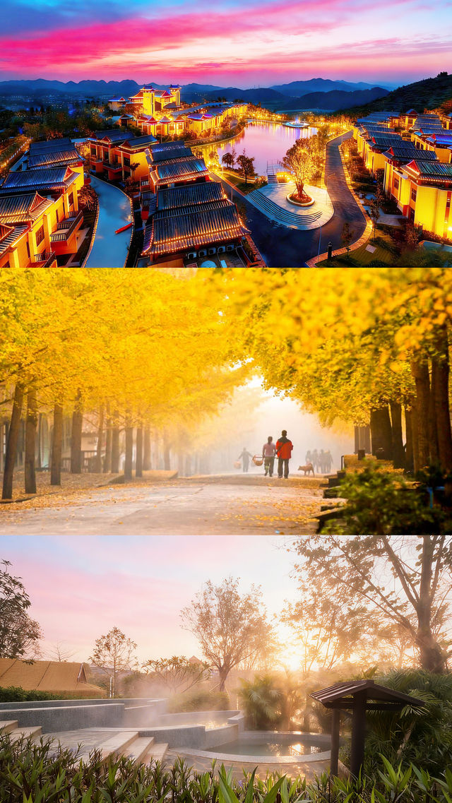 人均300自駕韶關南雄賞銀杏泡溫泉 人均300自駕韶關南雄賞銀杏泡溫泉