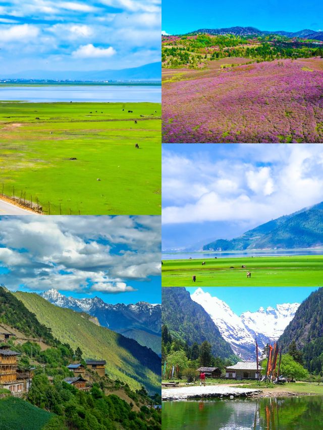 【香格里拉3天2晚】人均2k闖入天堂角落。