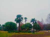 一場與花藥同行的邂逅