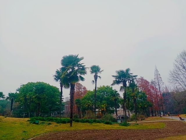 一場與花藥同行的邂逅