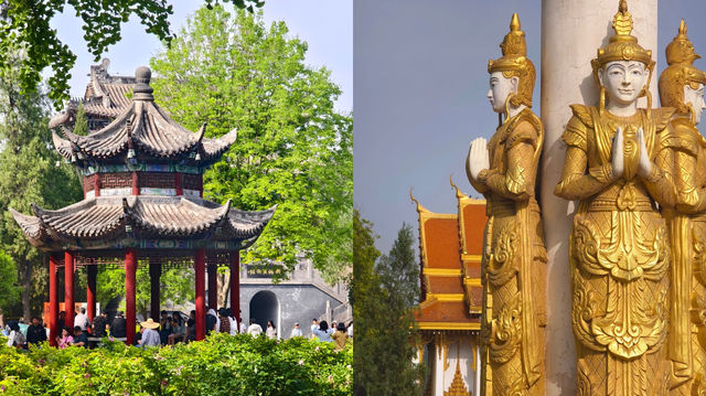 洛陽一地暢玩4日攻略在手 嗨玩不愁 洛陽一地暢玩4日攻略在手 嗨玩不愁