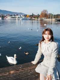 我宣佈，蘇黎世的秋日已封神!citywalk路線