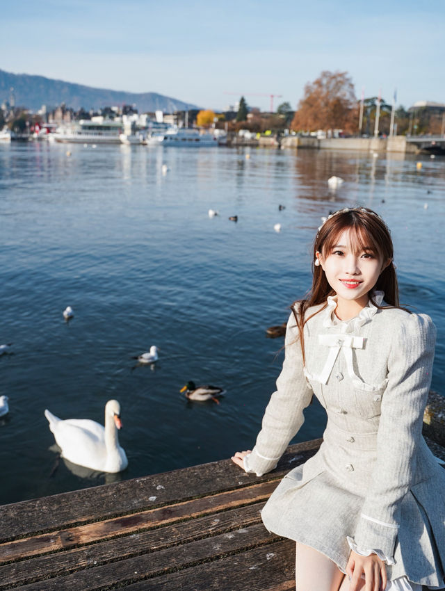 我宣佈，蘇黎世的秋日已封神!citywalk路線