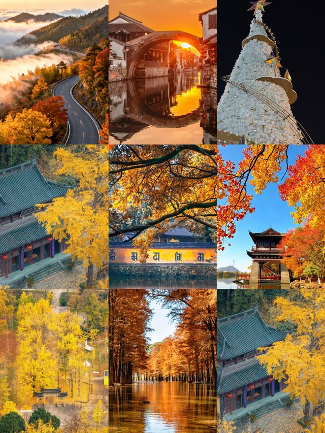 12月帶娃必衝 12月帶娃必衝