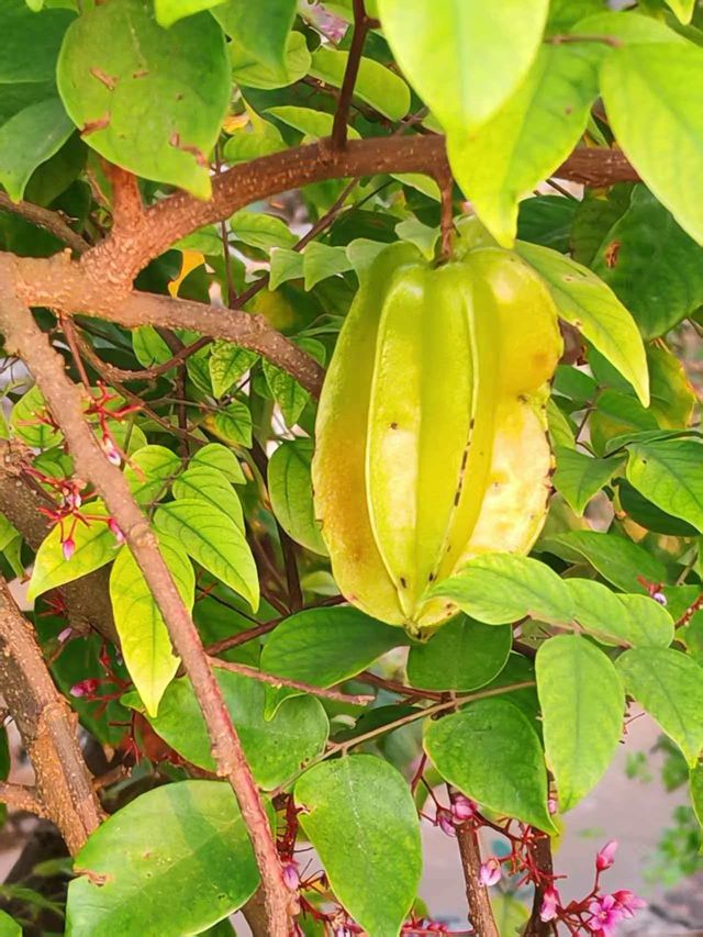 涠洲島海之夢別墅適合七人度假休閒太爽了 涠洲島海之夢別墅適合七人度假休閒太爽了