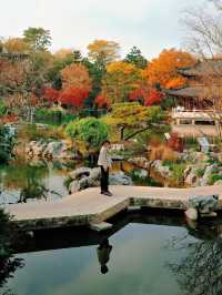 上海世博文化公園裡隱藏的寶藏園林!申園也太仙了叭~