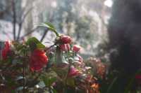 週末追光指南|私藏一整座成都的暖陽