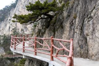 老君山お役立ちガイド｜疲れずに登山する秘訣がここに！