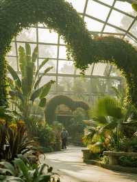 武漢12月遛娃!植物園美成莫奈油畫