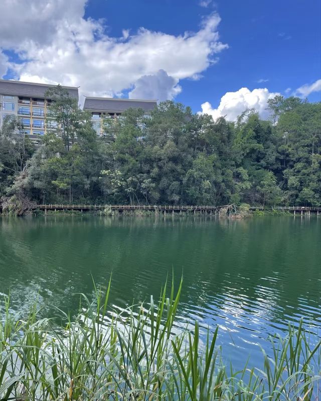 雲南普洱|「梅子湖公園」城市裡的天然氧吧 雲南普洱|「梅子湖公園」城市裡的天然氧吧