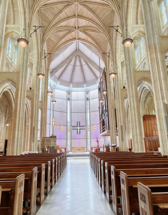 達尼丁必訪哥特教堂 達尼丁必訪哥特教堂