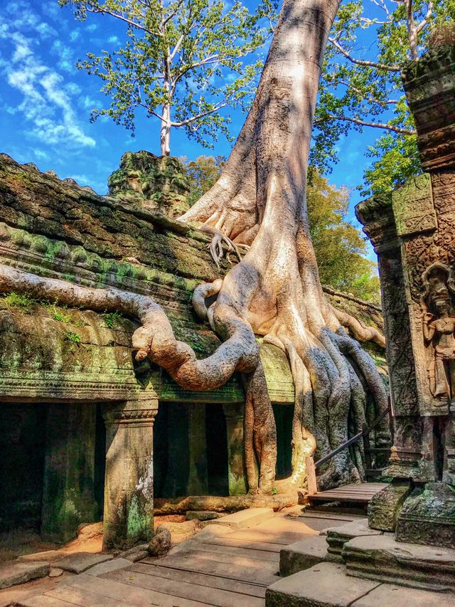 穿越千年遇見高棉的微笑巴戎寺 穿越千年遇見高棉的微笑巴戎寺