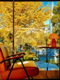 上海外灘賞銀杏不繞路個機位路線攻略