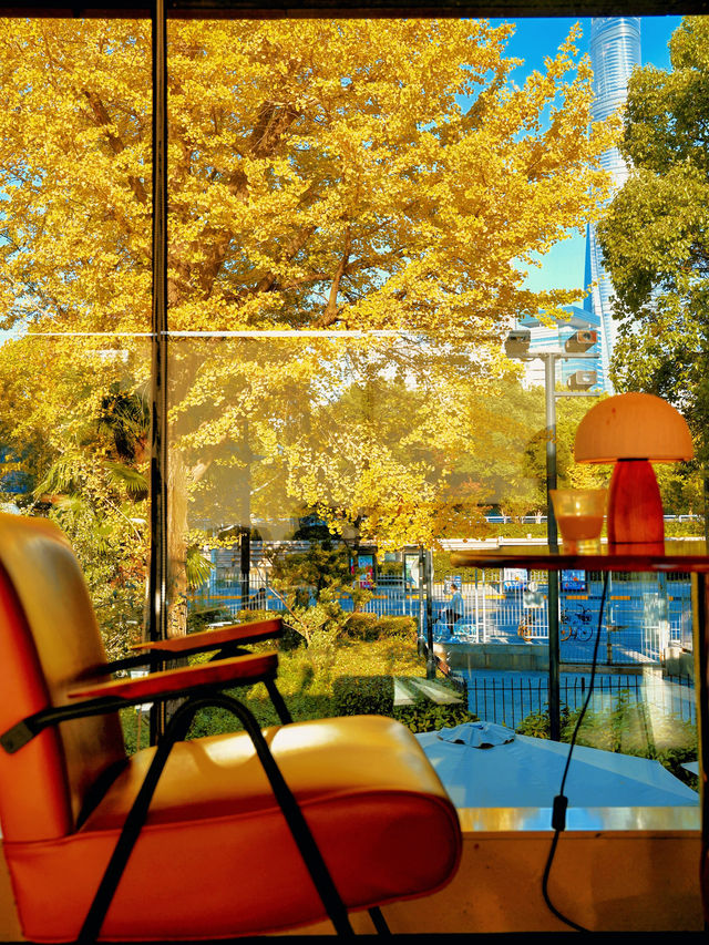 上海外灘賞銀杏不繞路個機位路線攻略