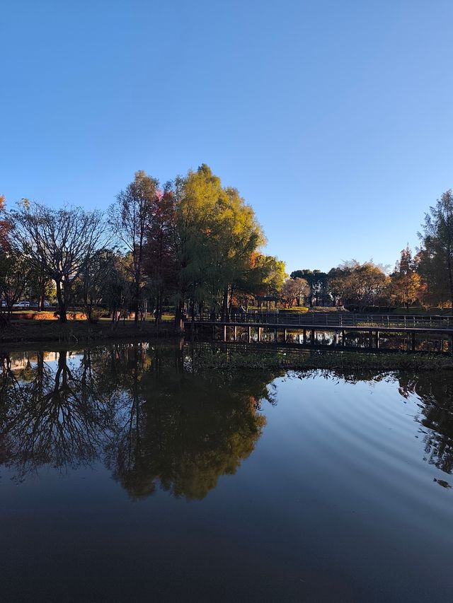 深秋漫步普洱,邂逅人間絕美湖畔秘境 深秋漫步普洱,邂逅人間絕美湖畔秘境