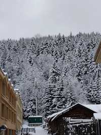 吉林市等地6日遊攻略看完這篇不踩雷