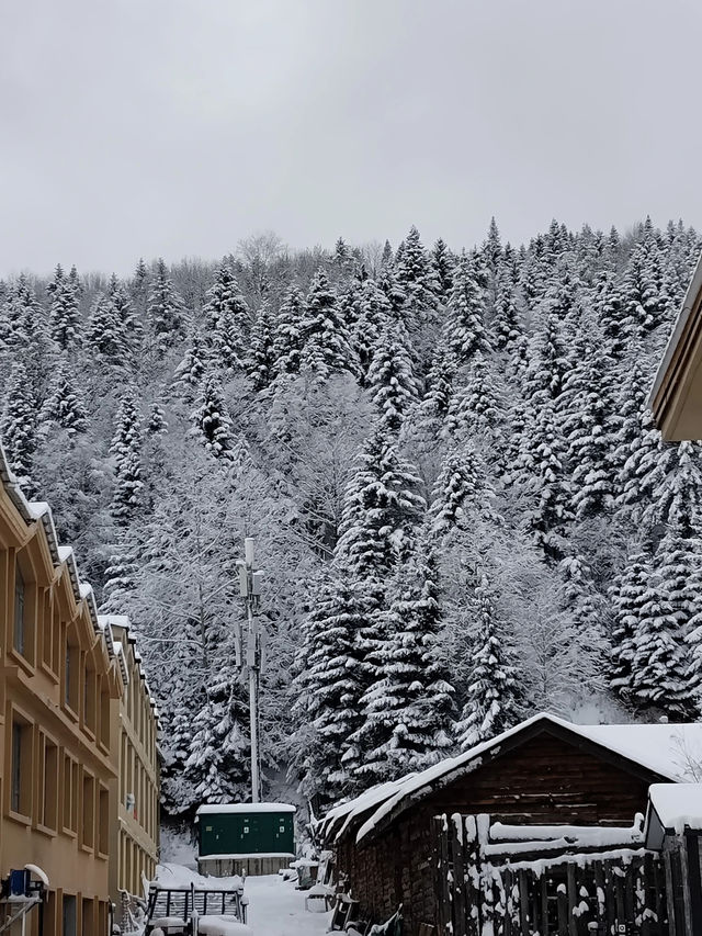 吉林市等地6日遊攻略看完這篇不踩雷 吉林市等地6日遊攻略看完這篇不踩雷