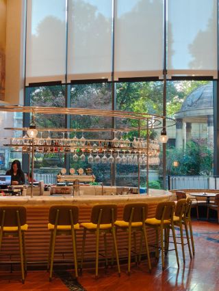 This Christmas, be healed by a tree of gentle golden light