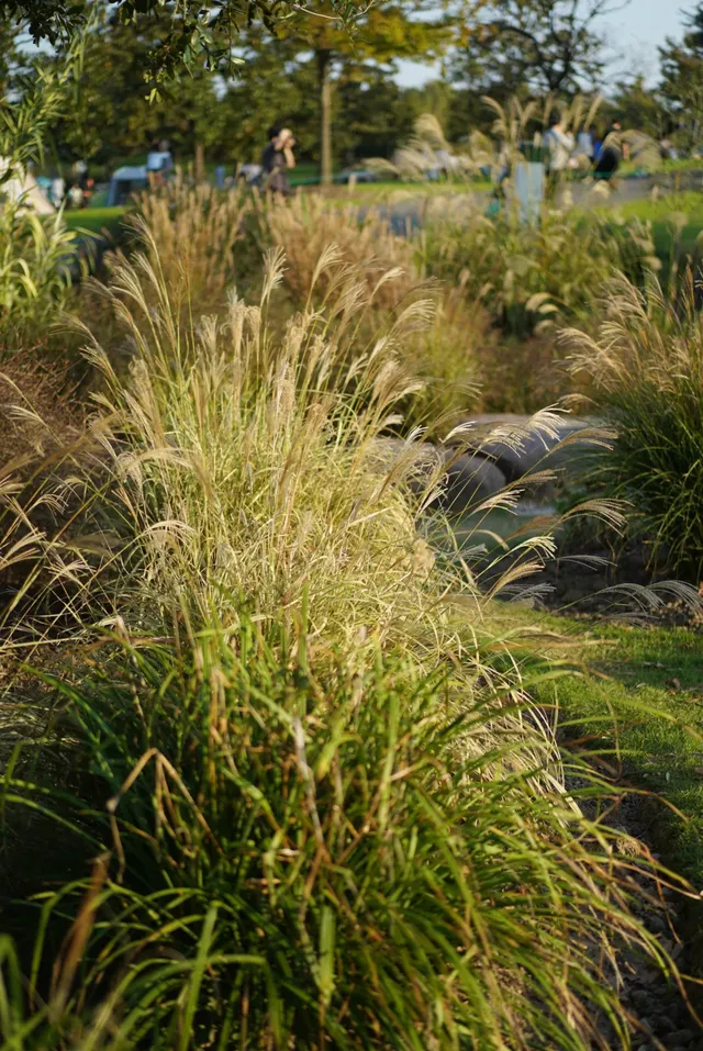 辰山植物園遛娃避坑指南｜新手爸媽直接抄